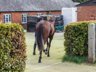 HC240925-64 - Rousham